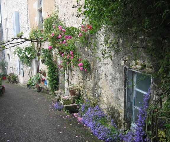 e0082045_17205126.jpg