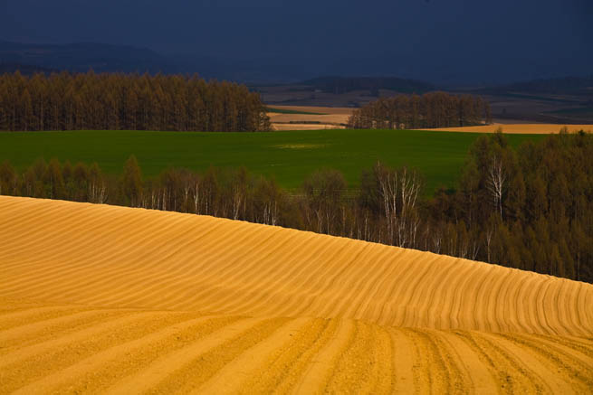 f0104847_20474172.jpg