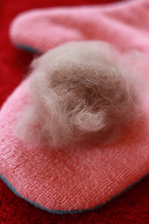 b0086450_7111180.jpg