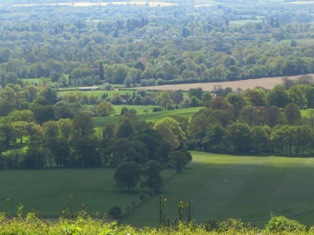e0018350_5404636.jpg