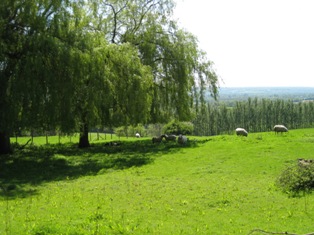 e0018350_5444755.jpg