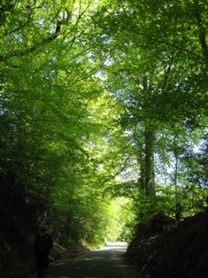 e0018350_5454390.jpg