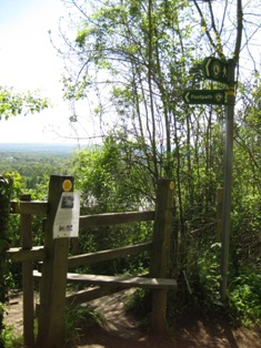 e0018350_5501497.jpg