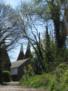 e0018350_553092.jpg