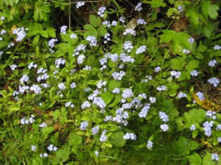 e0018350_5571011.jpg