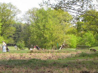 e0018350_610473.jpg