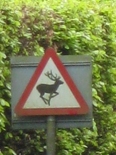 e0018350_614296.jpg