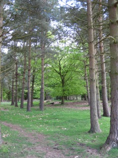 e0018350_633246.jpg