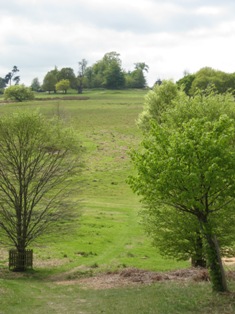 e0018350_642262.jpg