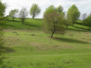 e0018350_644731.jpg