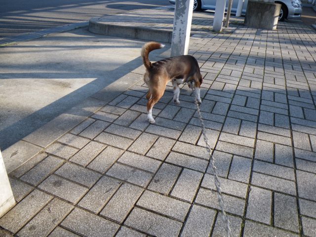 f0046250_18425983.jpg