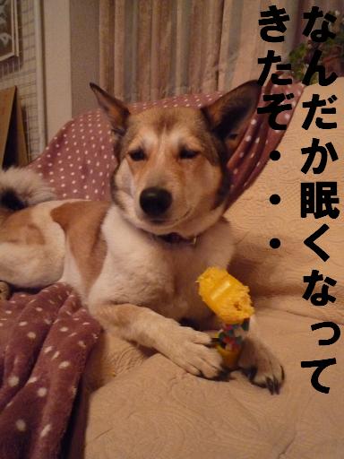 c0164353_1695218.jpg