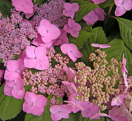 a0001354_14172454.jpg