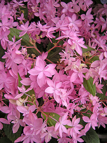 a0001354_14175030.jpg