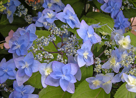 a0001354_1418238.jpg