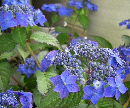 a0001354_14182690.jpg