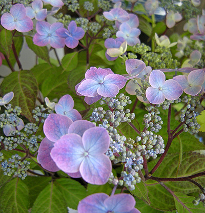 a0001354_14183918.jpg