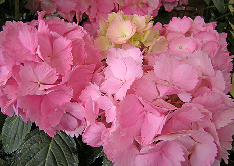 a0001354_14185721.jpg