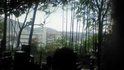 e0096455_2118062.jpg