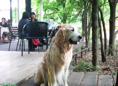 c0097558_1626468.jpg