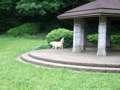c0097558_1694261.jpg