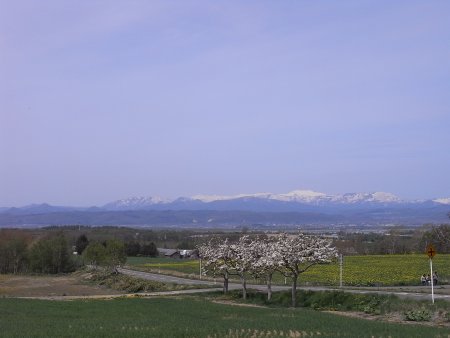 a0004359_22523453.jpg