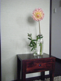c0173559_1444332.jpg