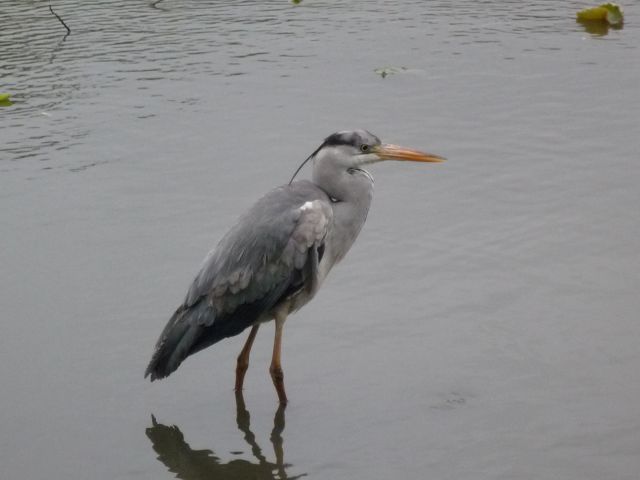 b0141664_23304134.jpg