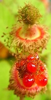 b0169765_2221522.jpg