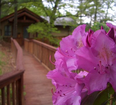 e0098066_604899.jpg