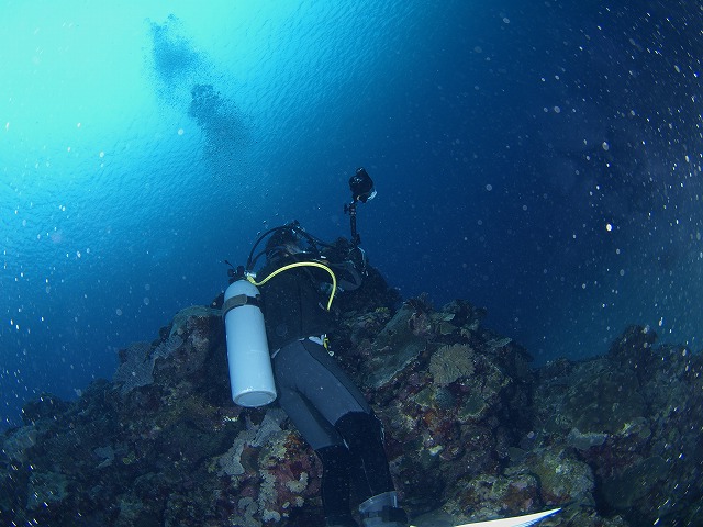 b0138768_22291185.jpg