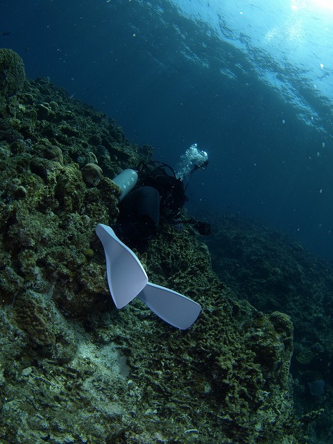 b0138768_2235141.jpg