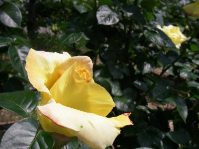 e0143671_17174122.jpg