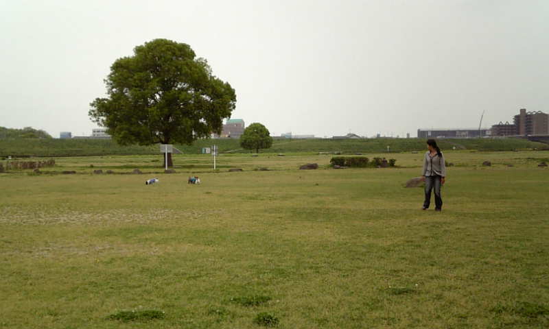 b0130273_10363164.jpg