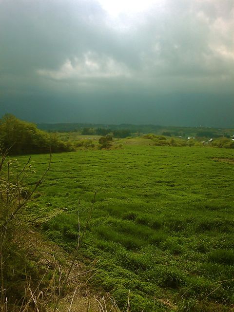 c0082573_23131973.jpg
