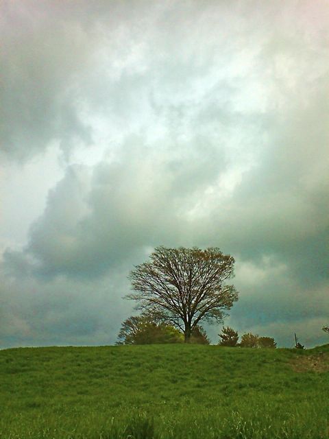 c0082573_23133646.jpg