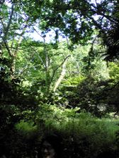 c0102375_0542019.jpg