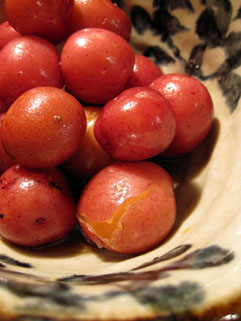 f0056476_2025946.jpg