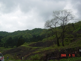 c0057781_10252778.jpg