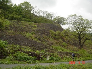 c0057781_1036373.jpg