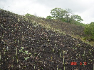 c0057781_1055539.jpg
