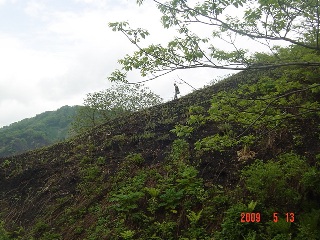 c0057781_11103886.jpg