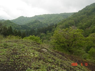 c0057781_11423050.jpg