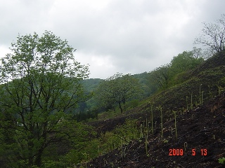 c0057781_1193346.jpg
