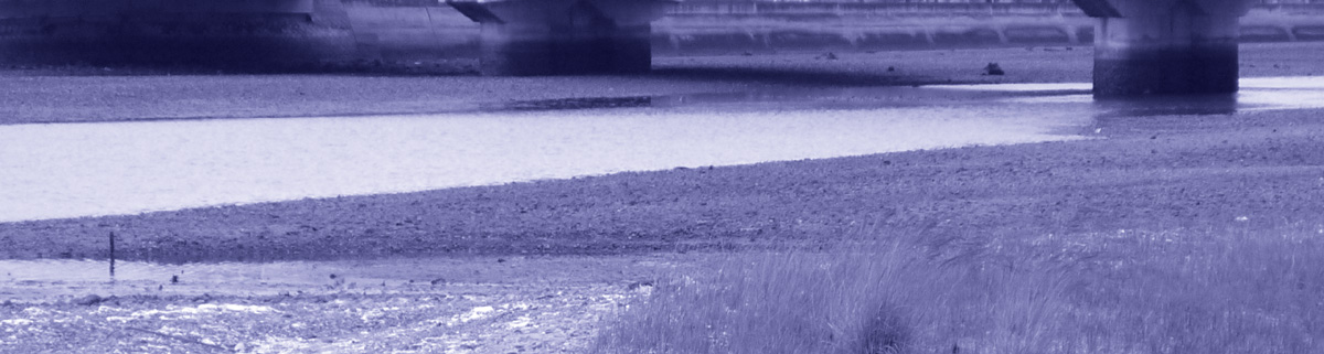 f0190781_2004046.jpg
