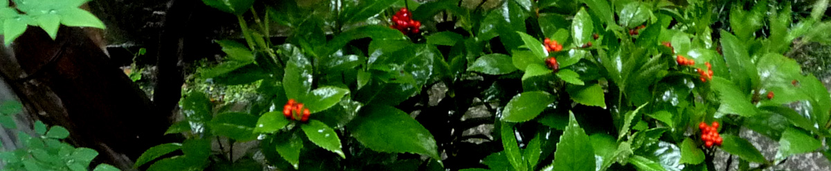 f0190781_20205391.jpg