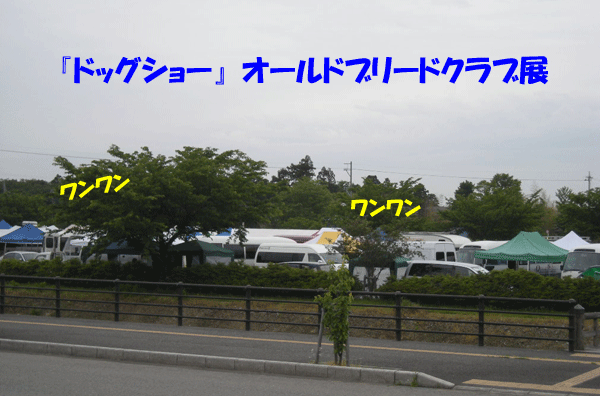 e0066883_15243589.gif
