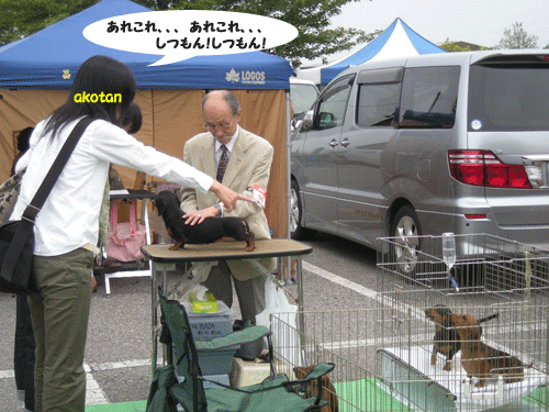 e0066883_15392856.gif
