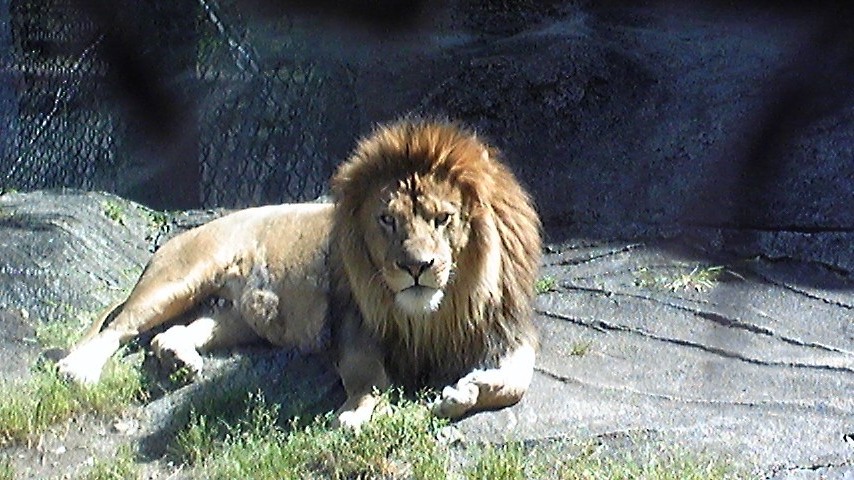 f0199484_23273440.jpg
