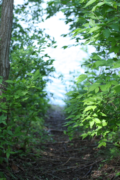 c0130986_23234868.jpg